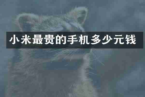 小米最贵的手机多少元钱