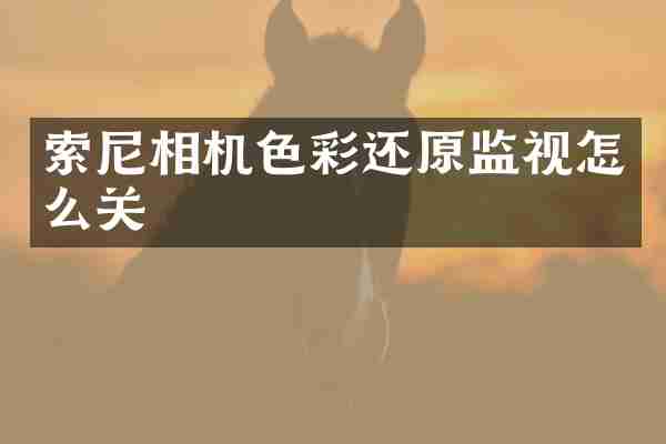 相机色彩还原监视怎么关