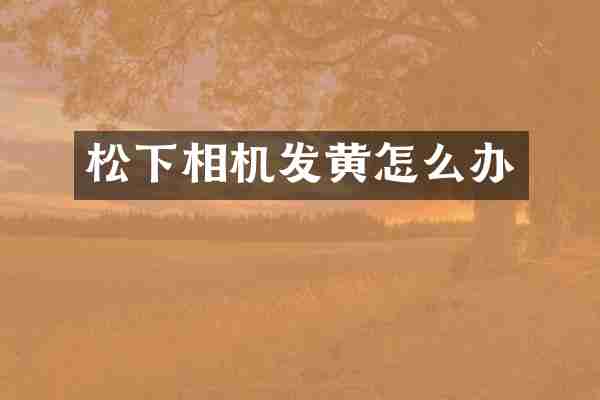 相机发黄怎么办