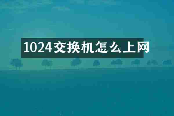 1024交换机怎么上网