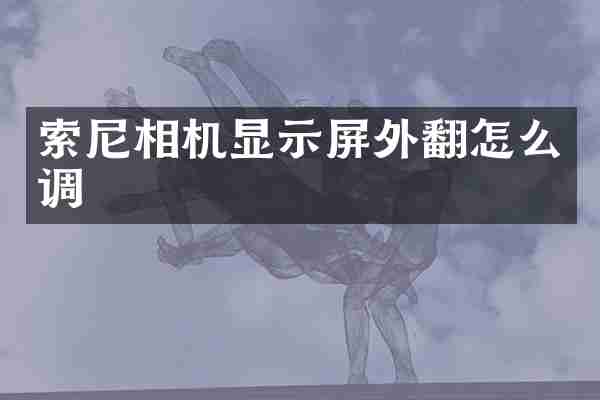 相机显示屏外翻怎么调