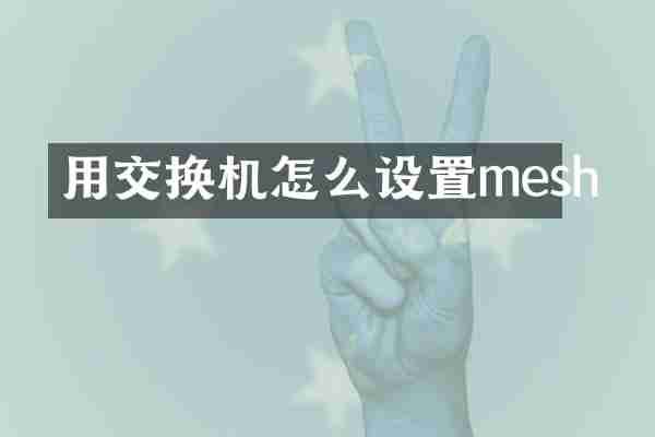 用交换机怎么设置mesh