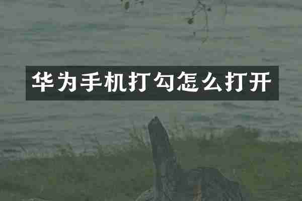 华为手机打勾怎么打开