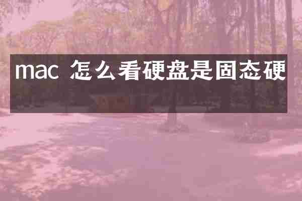 mac 怎么看硬盘是固态硬盘