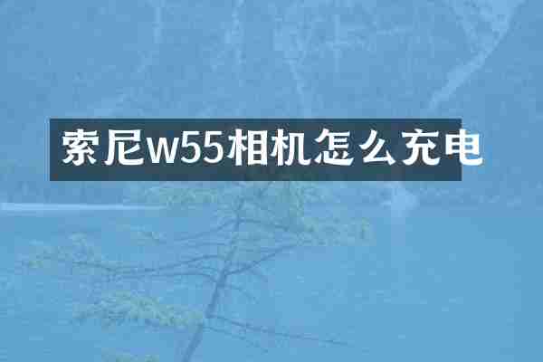 w55相机怎么充电