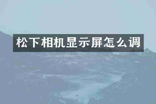 相机显示屏怎么调