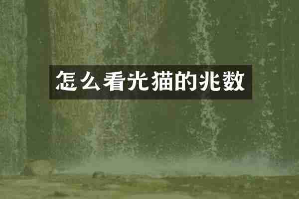 怎么看光猫的兆数