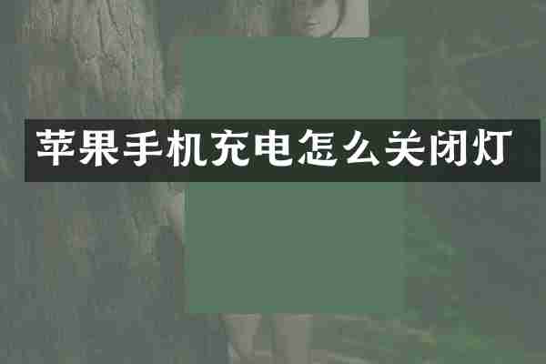 苹果手机充电怎么关闭灯