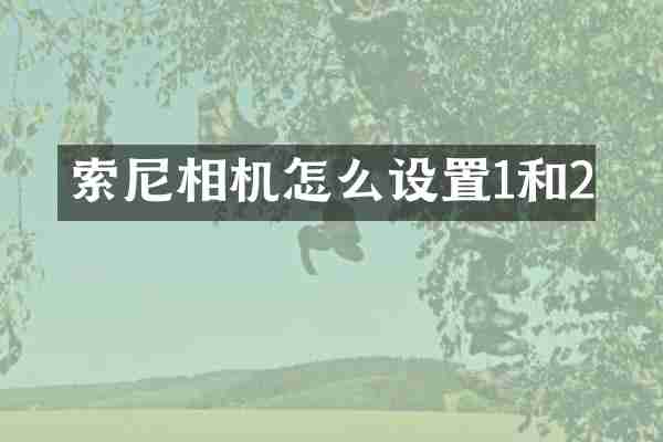 相机怎么设置1和2