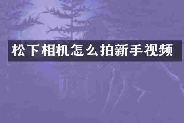 相机怎么拍新手视频