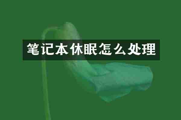 笔记本休眠怎么处理