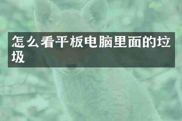 怎么看平板电脑里面的垃圾