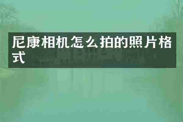 尼康相机怎么拍的照片格式
