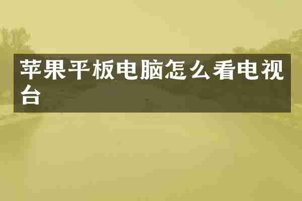 苹果平板电脑怎么看电视台