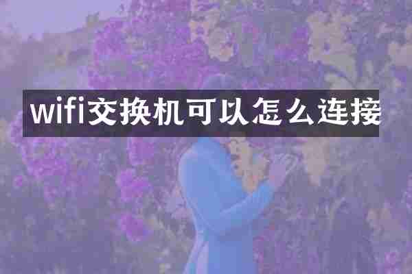 wifi交换机可以怎么连接