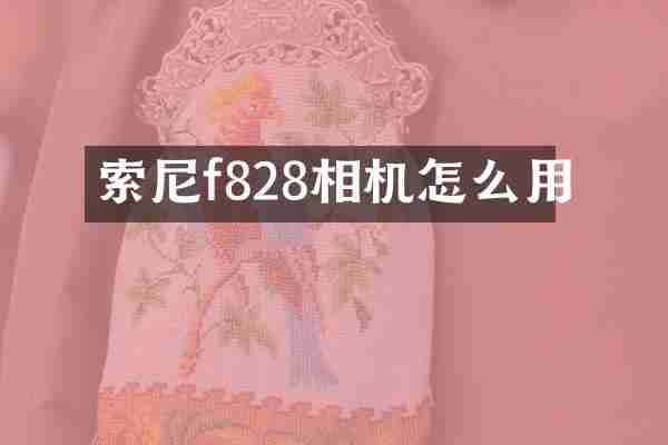 f828相机怎么用