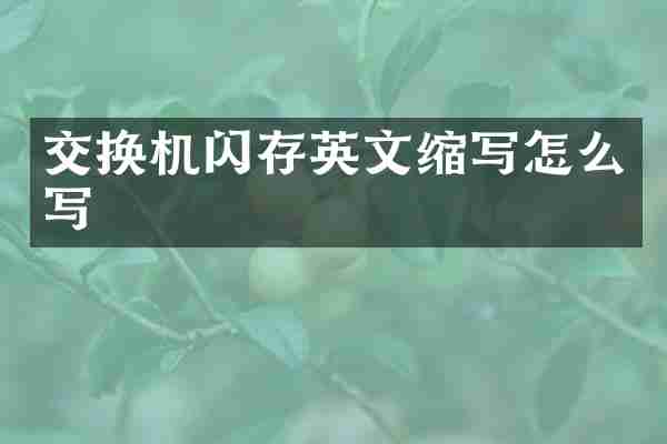 交换机闪存英文缩写怎么写