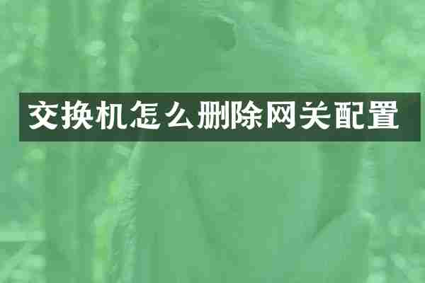 交换机怎么删除网关配置