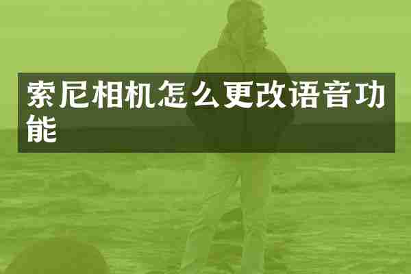 相机怎么更改语音功能