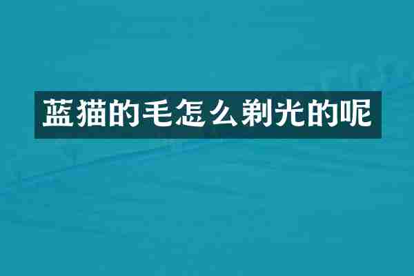 蓝猫的毛怎么剃光的呢