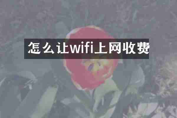 怎么让wifi上网收费