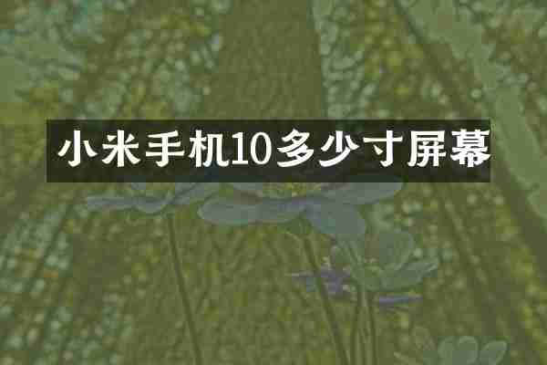 小米手机10多少寸屏幕