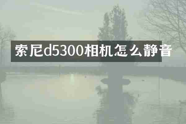 d5300相机怎么静音