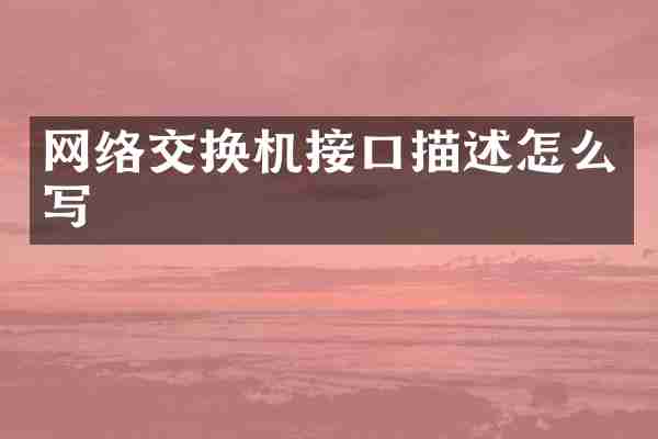 网络交换机接口描述怎么写