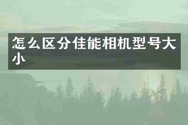 怎么区分佳能相机型号大小