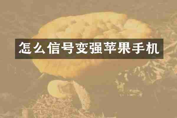 怎么信号变强苹果手机