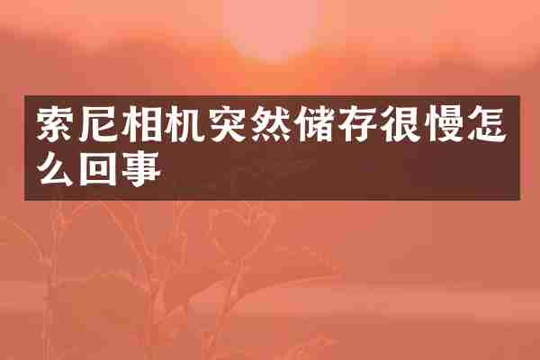 相机突然储存很慢怎么回事
