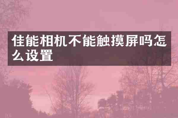 佳能相机不能触摸屏吗怎么设置