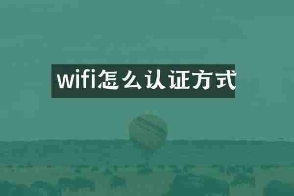 wifi怎么认证方式