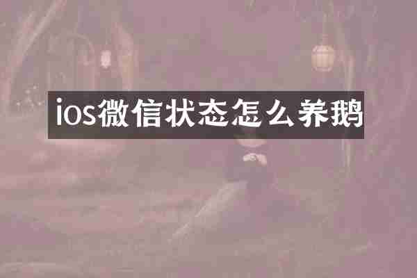 ios微信状态怎么养鹅