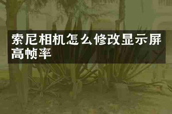 相机怎么修改显示屏高帧率