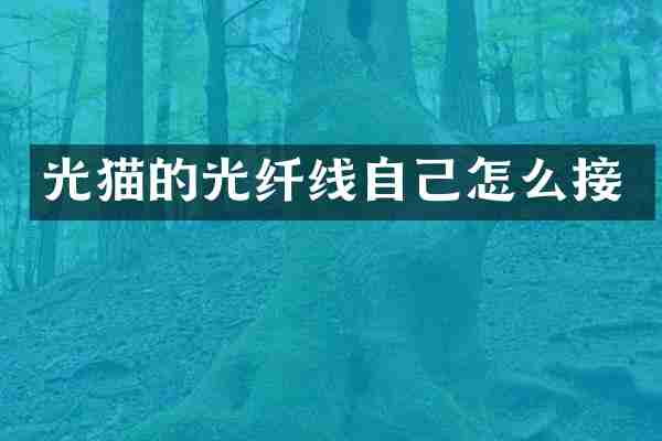 光猫的光纤线自己怎么接