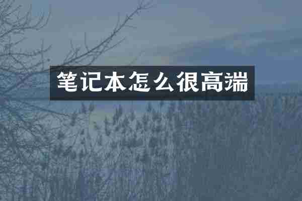 笔记本怎么很高端