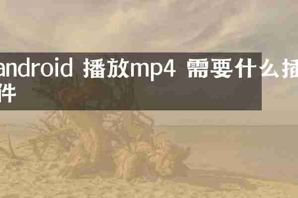 android 播放mp4 需要什么插件