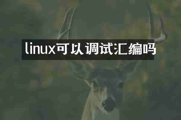linux可以调试汇编吗