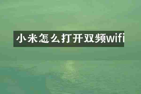 小米怎么打开双频wifi