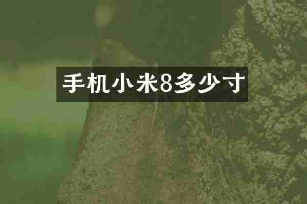 手机小米8多少寸