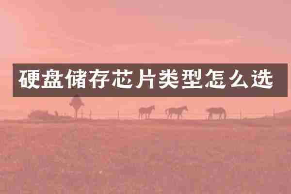 硬盘储存芯片类型怎么选