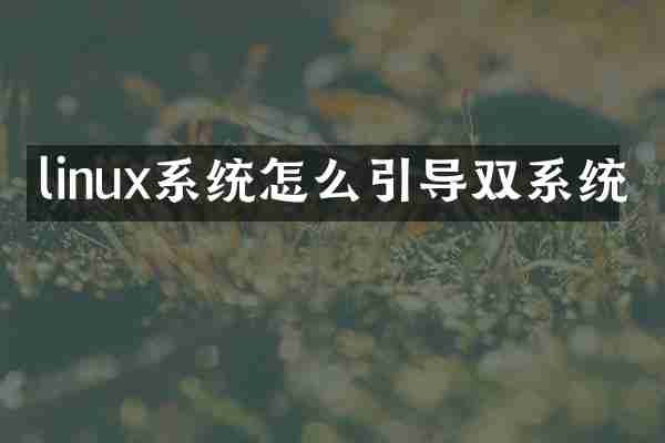 linux系统怎么引导双系统