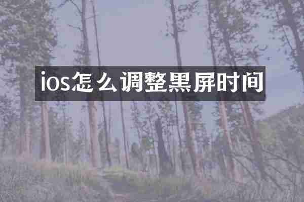 ios怎么调整黑屏时间