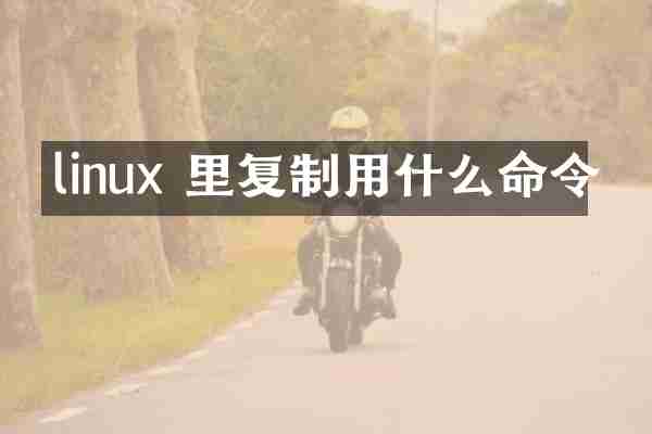 linux 里复制用什么命令