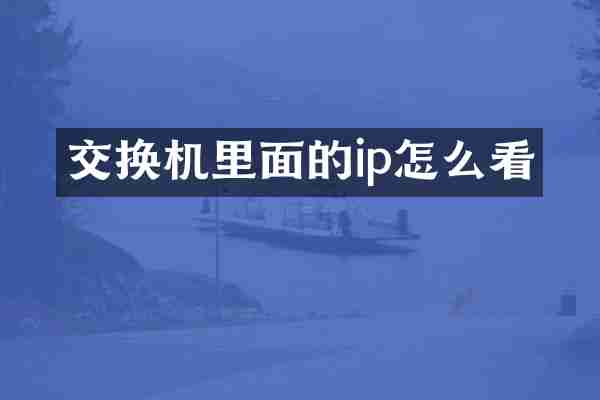 交换机里面的ip怎么看