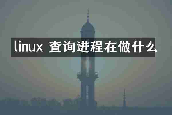 linux 查询进程在做什么