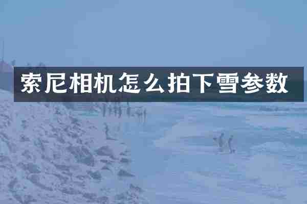 相机怎么拍下雪参数