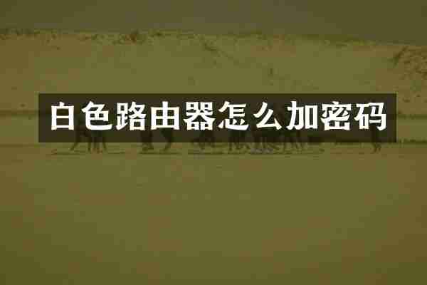 白色路由器怎么加密码