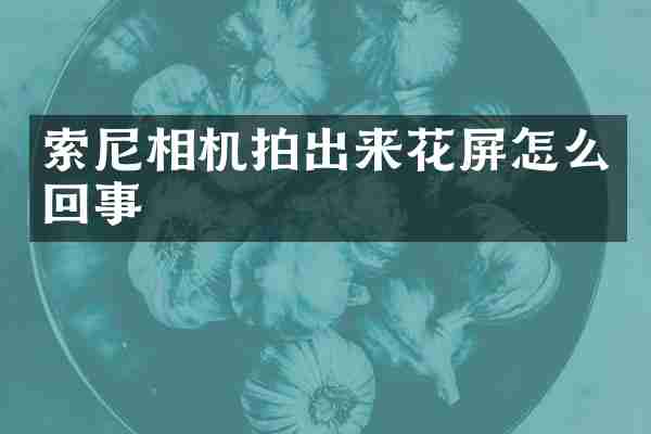 相机拍出来花屏怎么回事